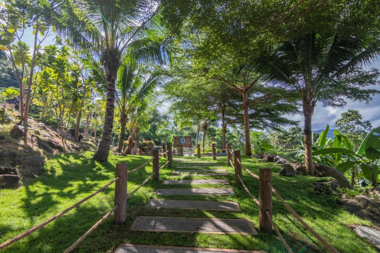 فندق كاليما ريزورت آند سبا Patong المظهر الخارجي الصورة The path to the temple